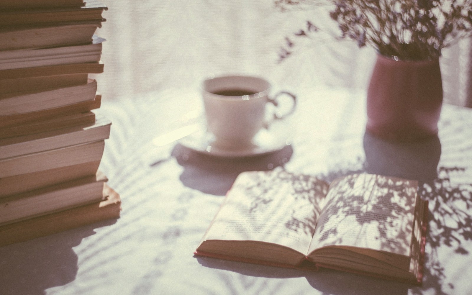 French Books Worth Reading in Translation